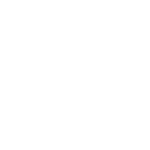 Seo E-commerce