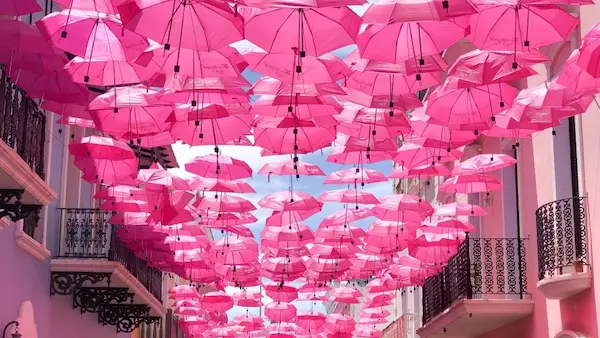 20. Fucsia