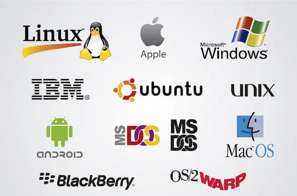 Diferencias entre los principales tipos de software
