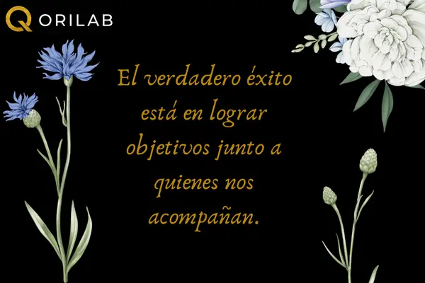 Frases de trabajo en equipo para compartir con compañeros