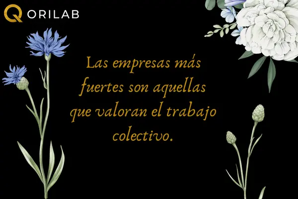 Frases de trabajo en equipo para empresas y proyectos