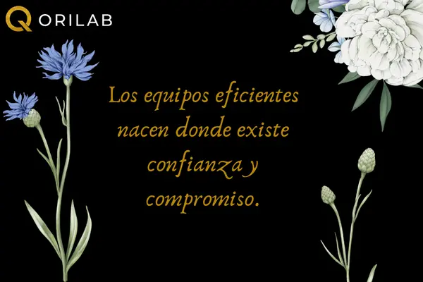 Frases de trabajo en equipo para fortalecer la colaboración laboral