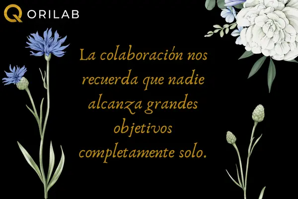 Frases de trabajo en equipo para reflexionar y aprender