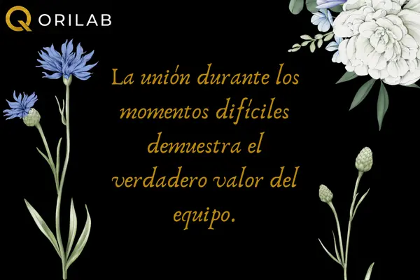 Frases de trabajo en equipo para superar dificultades