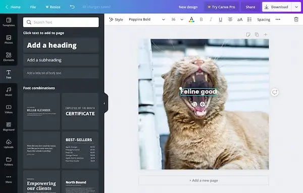 Cómo agregar texto en Canva