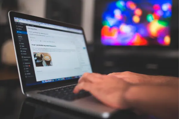 Web profesional